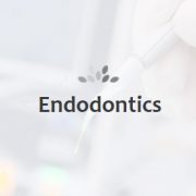 Endodontic Treatment